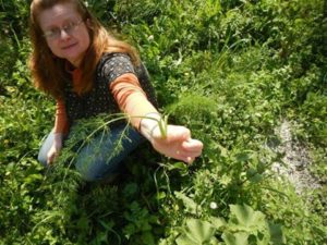 Pročitajte više o članku III. Radionica samoniklog jestivog bilja u NP Mljet