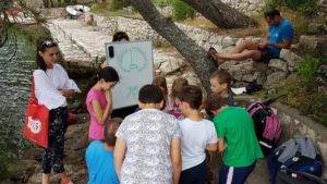 Pročitajte više o članku Bodljoškolica – radionica o biologiji bodljikaša