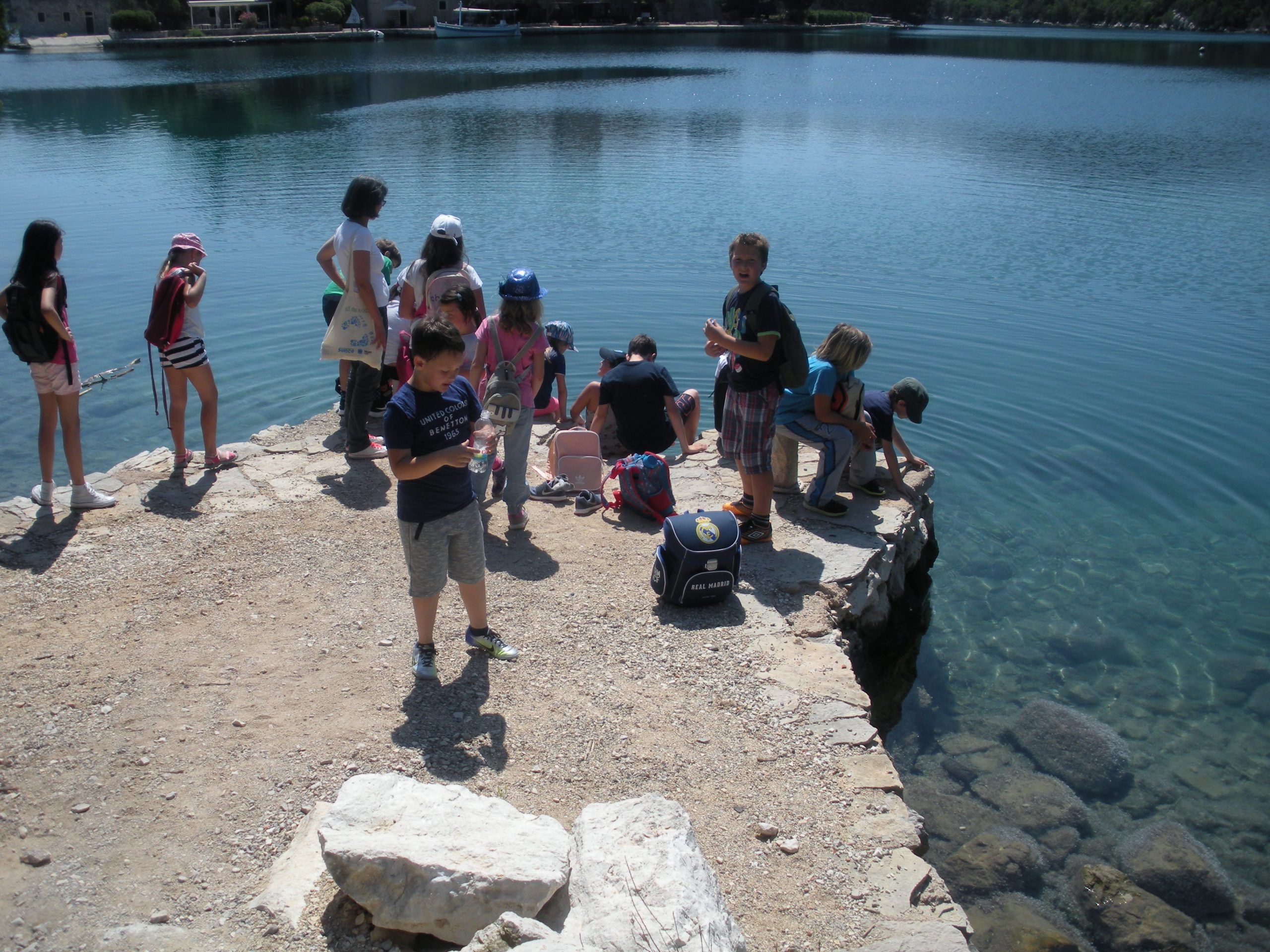 Pročitajte više o članku Predavanje o šumi za učenike OŠ Mljet