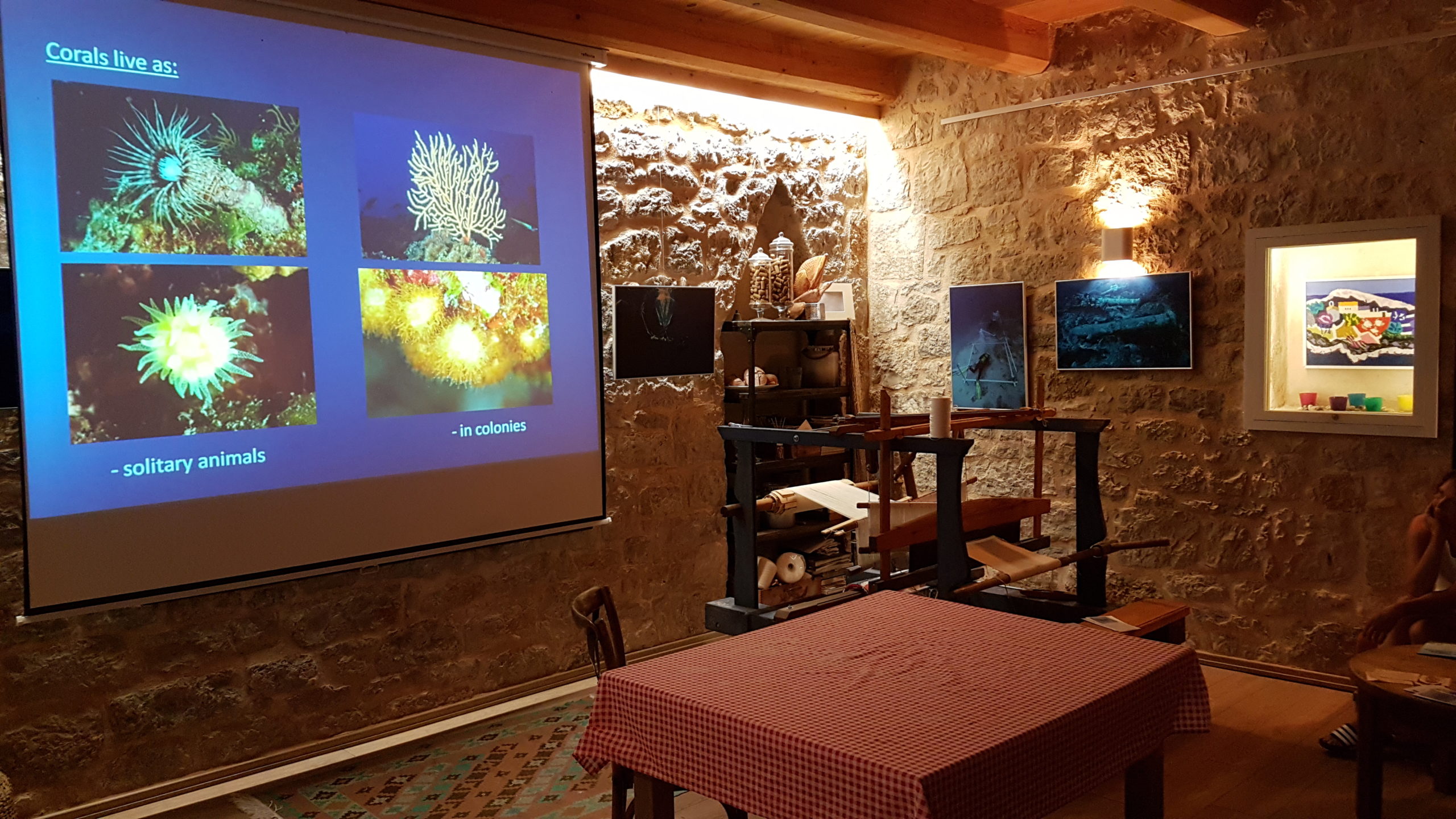 Pročitajte više o članku Održano predavanje “Koralji Nacionalnog parka Mljet”