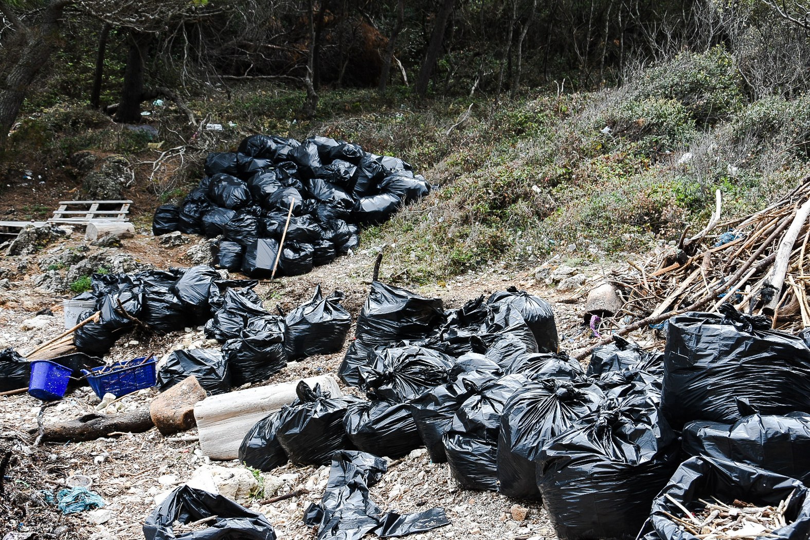 Pročitajte više o članku Nastavak volonterskih programa i u srpnju