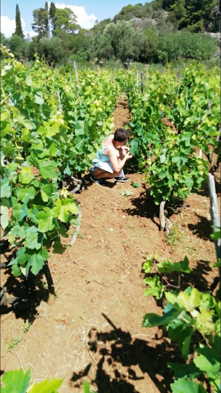 Pročitajte više o članku Nastavak suradnje Agronomskog fakulteta i JUNP Mljet