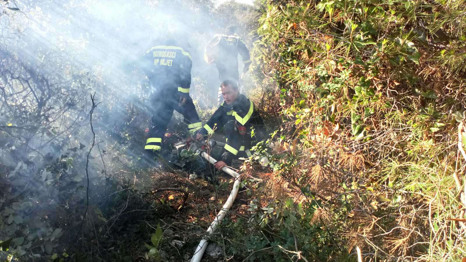 Pročitajte više o članku Vatrogasna vježba u NP Mljet