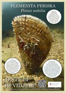 Pročitajte više o članku Poziv za pomoć u pronalaženju živih periski