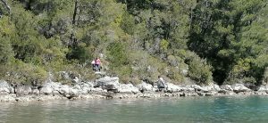 Pročitajte više o članku Volontiranje u NP Mljet i 2021.