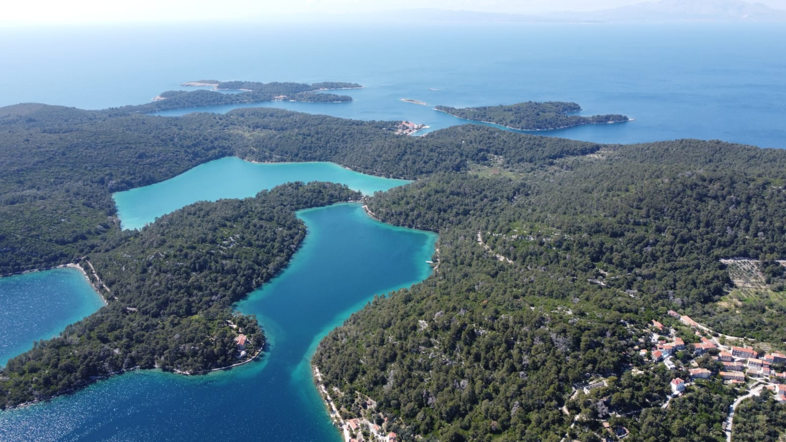 Pročitajte više o članku Odrađene terenske izmjere za nacrt Programa zaštite, njege i obnove šuma za NP Mljet