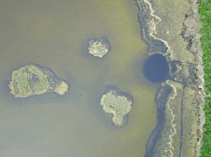 Pročitajte više o članku Svjetski dan vlažnih staništa