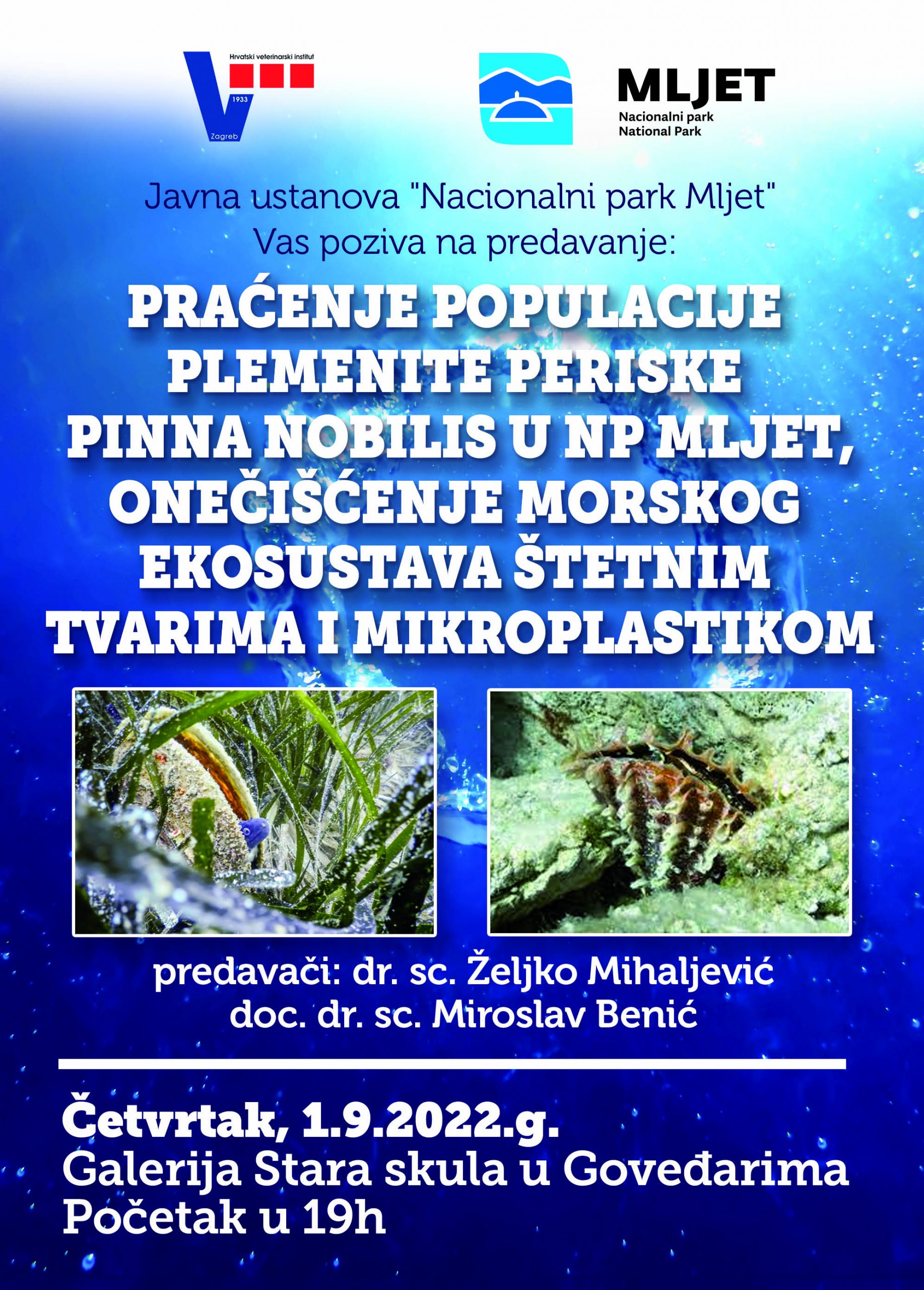 Pročitajte više o članku Predavanje “Praćenje populacije plemenite periske Pinna nobilis u NP Mljet, onečišćenje morskog         ekosustava štetnim tvarima i mikroplastikom”