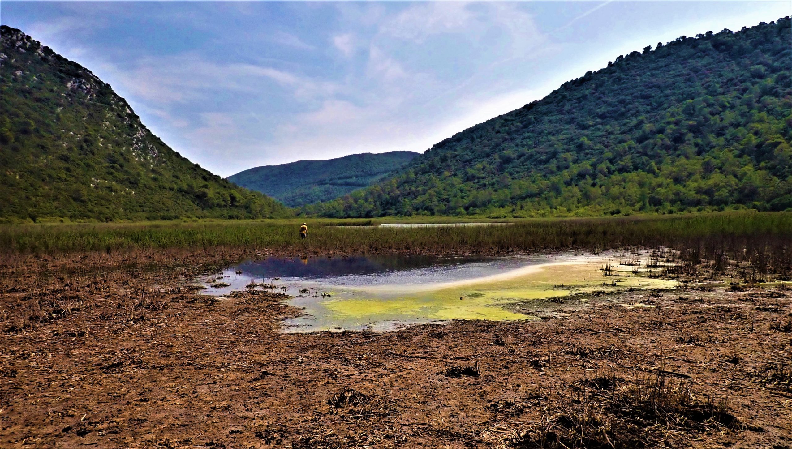 Pročitajte više o članku Istraživanje medicinske pijavice (Hirudo sp.) na otoku Mljetu