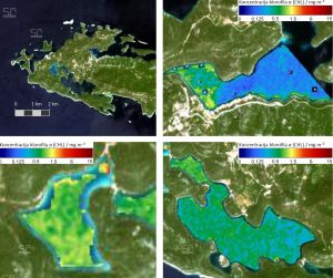 Pročitajte više o članku Monitoring eutrofikacije putem satelita