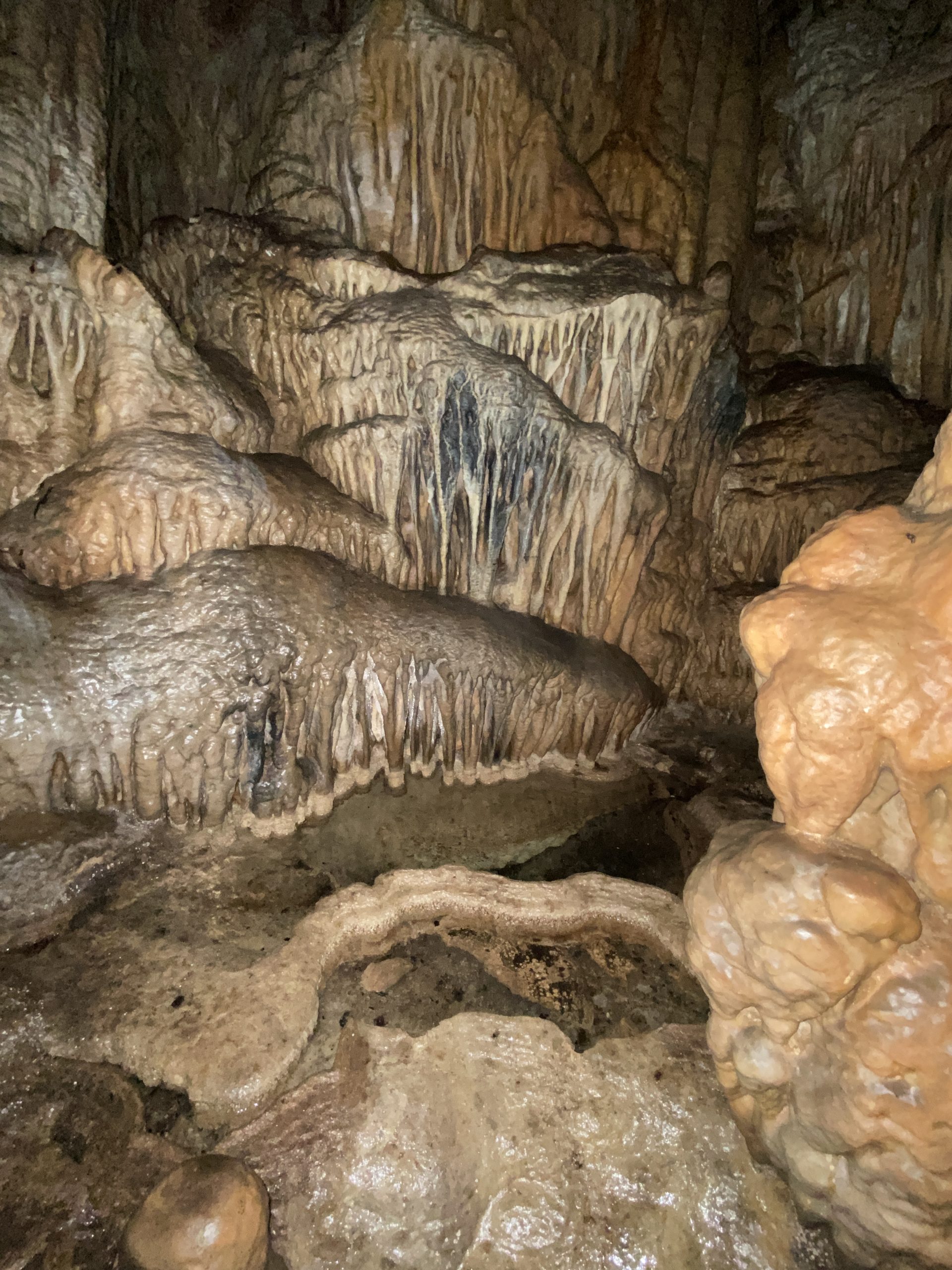 Pročitajte više o članku Istraživanje na Mljetu u okviru projekta SEALeveL