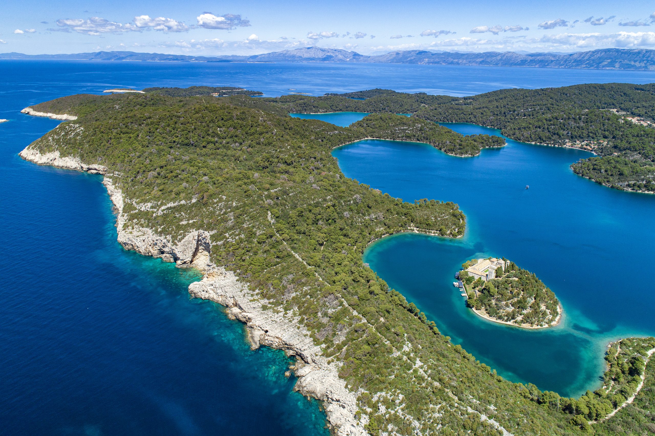 Pročitajte više o članku Svjetski dan divljih vrsta