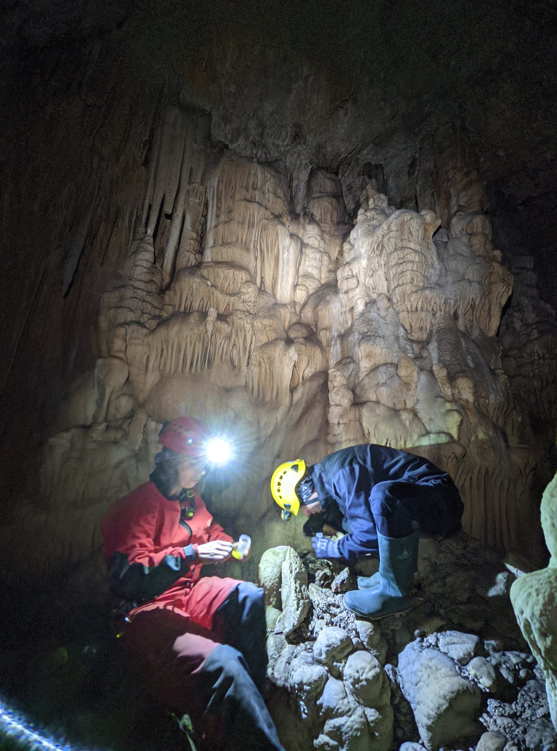 Pročitajte više o članku Biospeleolozi provodili projekt Bioblitz Hrvatska na Mljetu