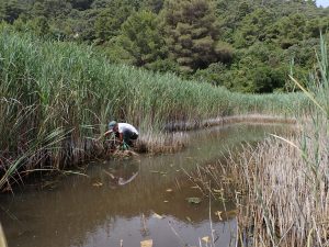 Pročitajte više o članku Započela istraživanja područja ekološke mreže Natura 2000