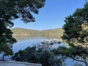 Read more about the article New boat schedule and working hours