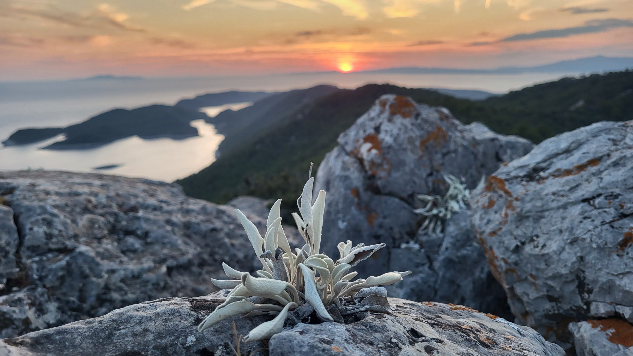 Pročitajte više o članku Otvorene prijave za FOTO NATJEČAJ za najbolju fotografiju!