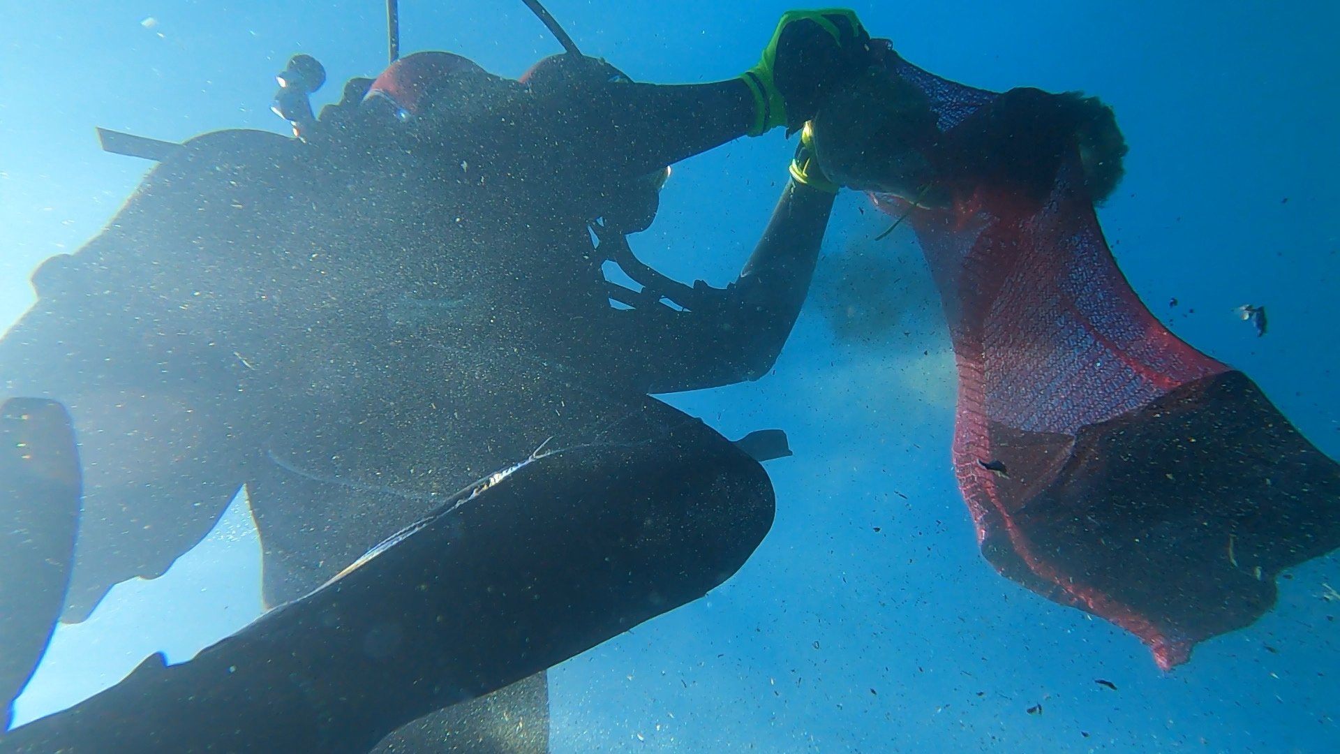 Pročitajte više o članku Provedena akcija „Ronimo za čisti Jadran – Mljet 2024“