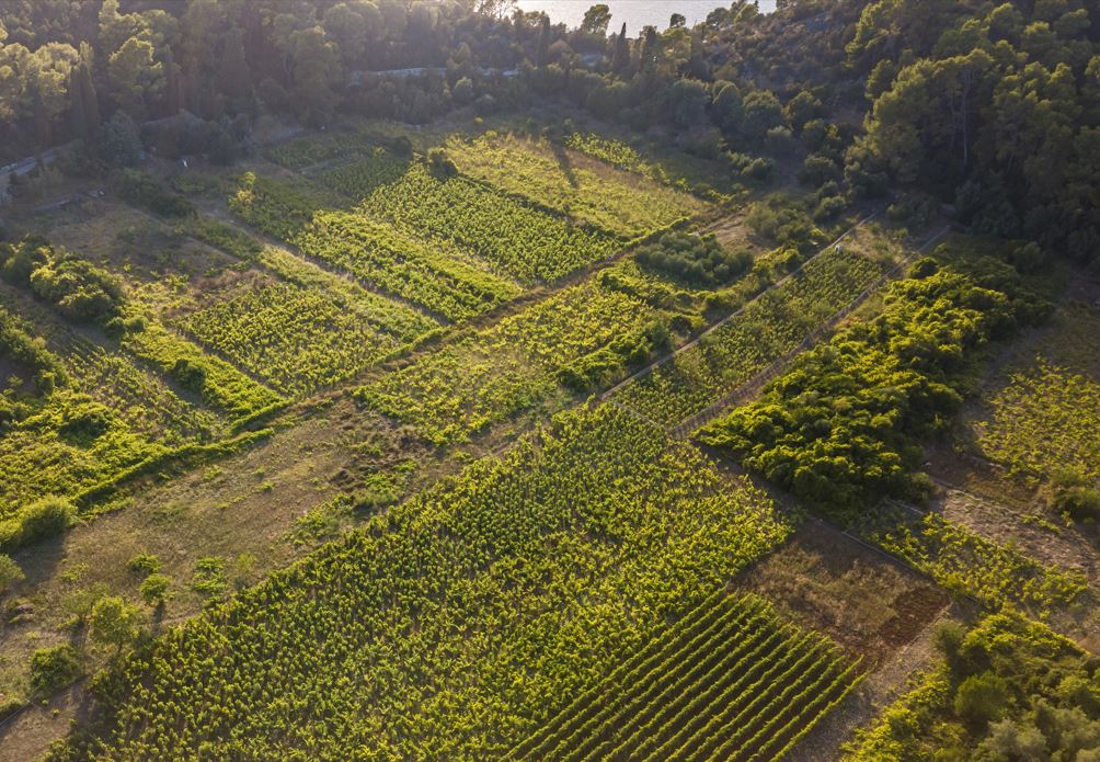 Pročitajte više o članku Javni poziv za dodjelu poticaja poljoprivrednicima