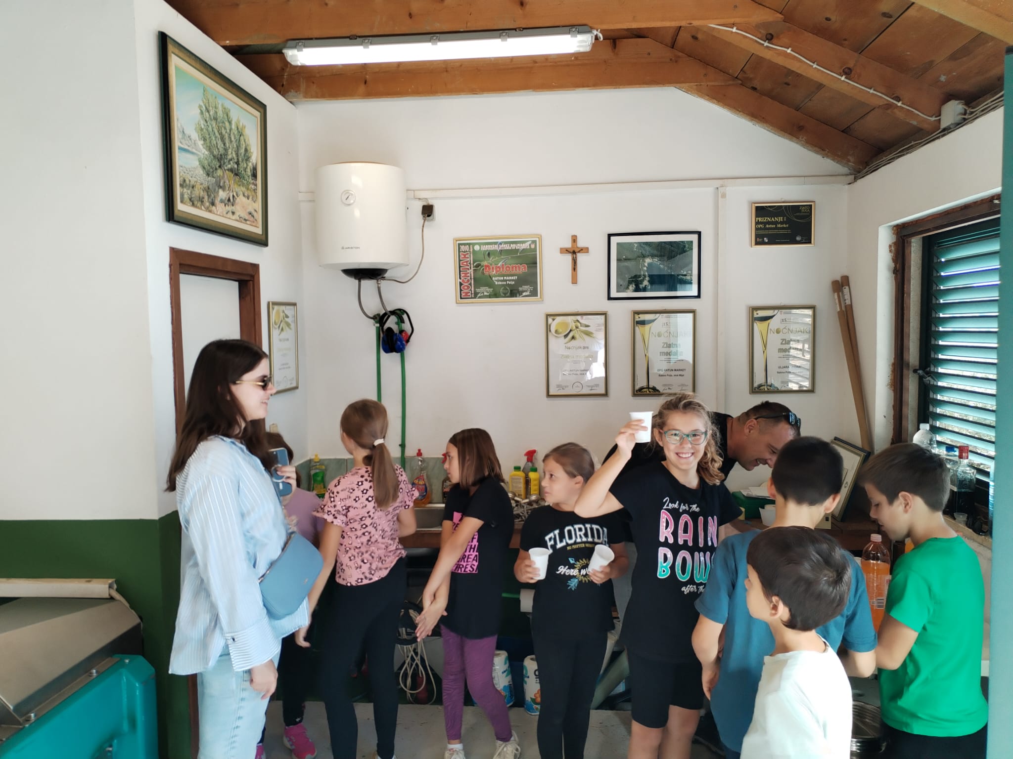 Pročitajte više o članku Branje i prerada maslina s učenicima OŠ Mljet