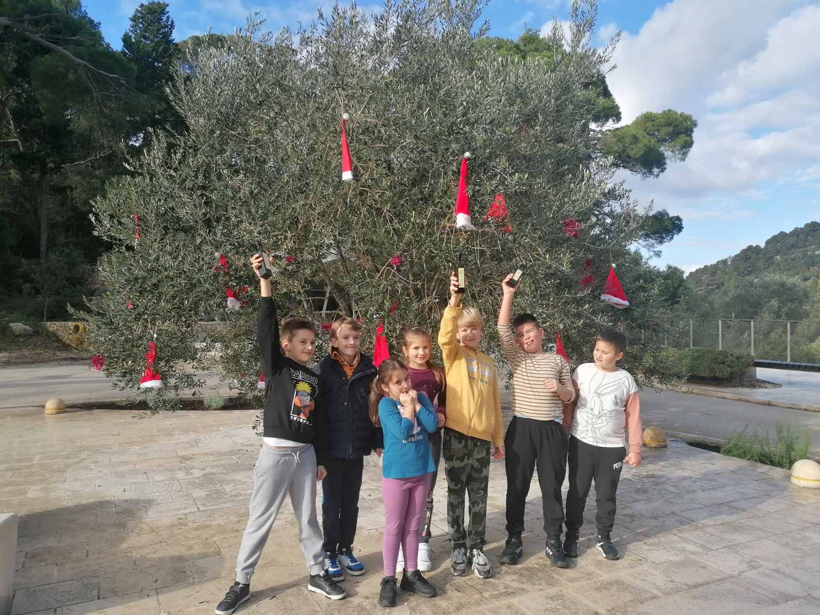 Pročitajte više o članku Tradicionalno kićenje masline na Pristaništu