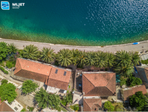 Pročitajte više o članku Tretiranje palmi protiv crvene palmine pipe u NP Mljet