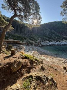 Pročitajte više o članku Uspješna akcija čišćenja uvale Grabova