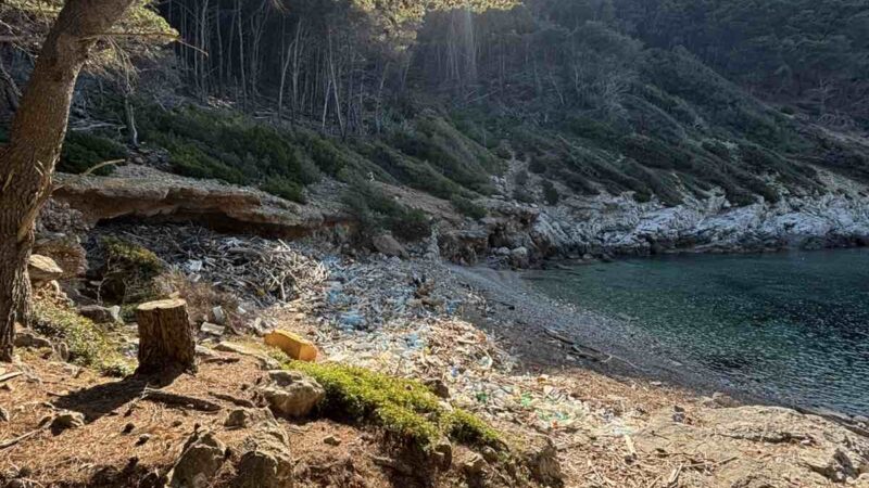 Uspješna akcija čišćenja uvale Grabova