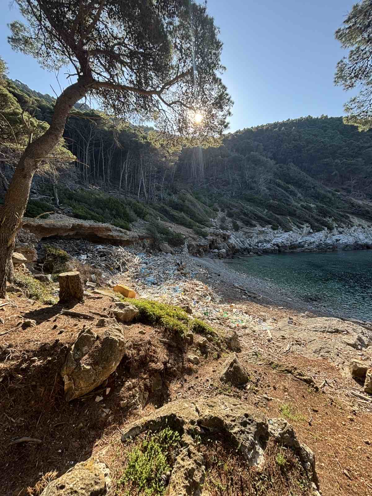 Uspješna akcija čišćenja uvale Grabova