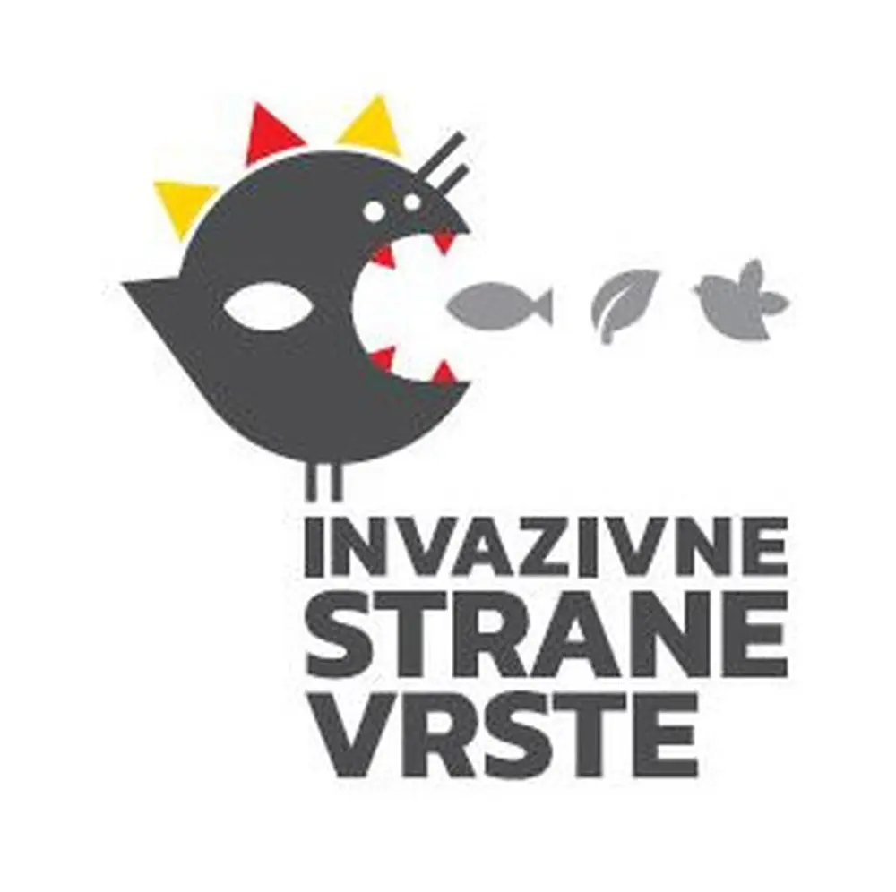 Pročitajte više o članku Uklanjanje malog indijskog mungosa (Herpestes javanicus auropunctatus) s nenaseljenih otočića Kobrava, Tajnik i Moračnik u Nacionalnom parku Mljet