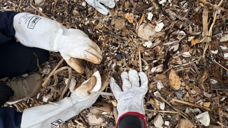 🌍 Dan planeta Zemlje na Mljetu