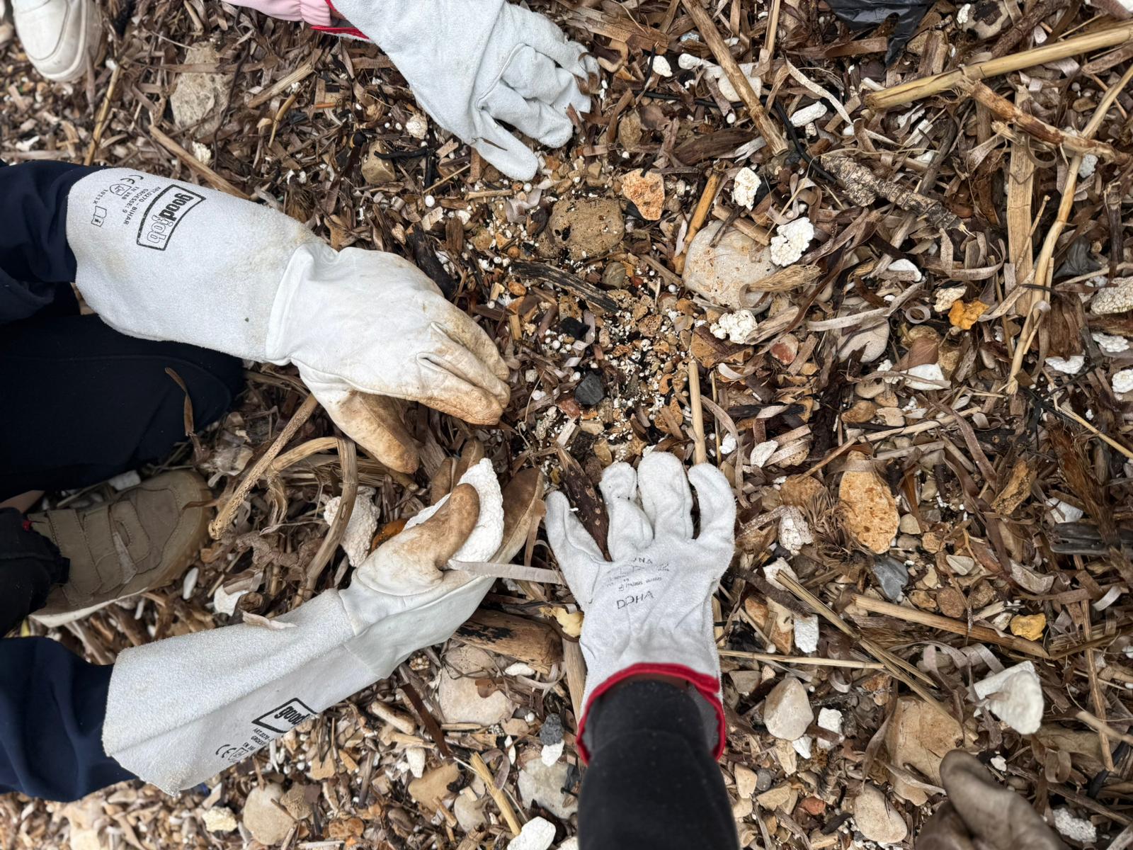 🌍 Dan planeta Zemlje na Mljetu