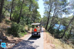 Read more about the article Electric train rides around the Great Lake