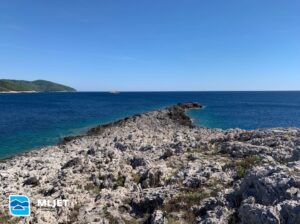 Pročitajte više o članku 🌊 Svjetski dan oceana